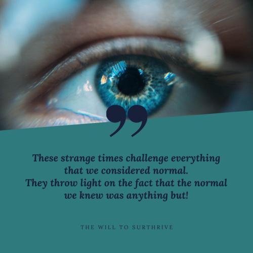 IMG_20240116_054219_187