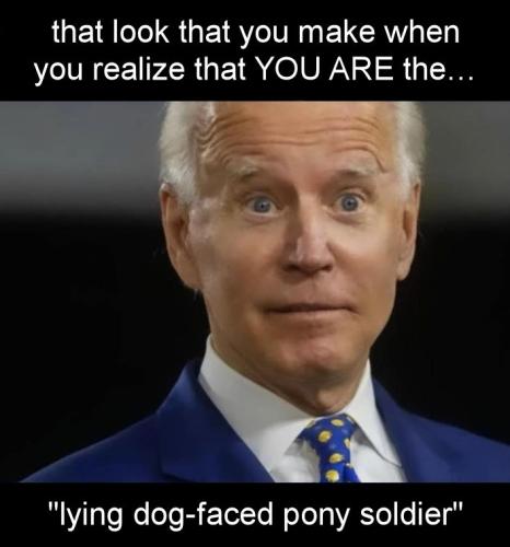 lying dog-faced pony soldier