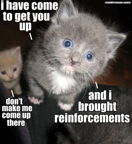 d1866bcb1c5072e4760d1c1f10118a4e