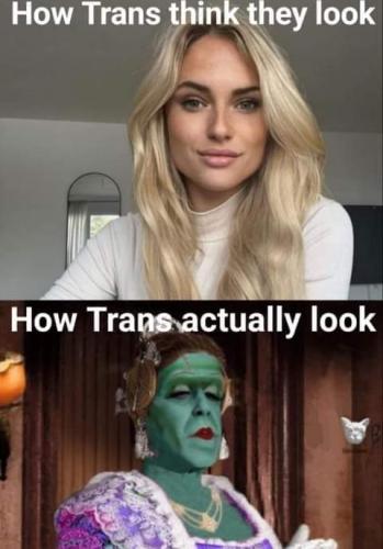 872e79f68e81e2bcdc5437f9368a78ec