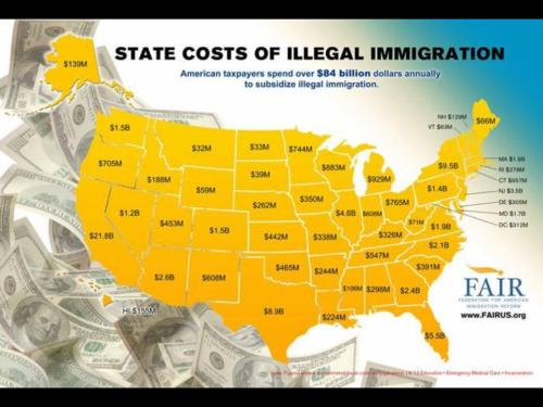 illegal alien costs