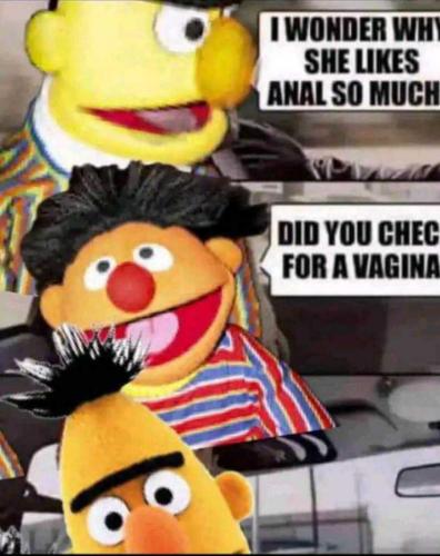 Screenshot_20240126_183256_Wimkin Free Speech Social Media