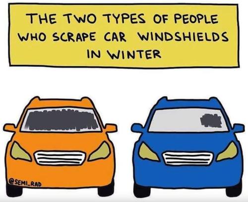 windshields