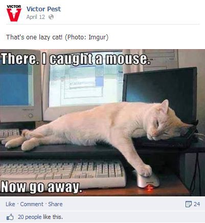 4aa075b154d63cce551e669c2298b8e5