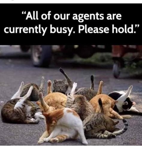 FB_IMG_1705151542643