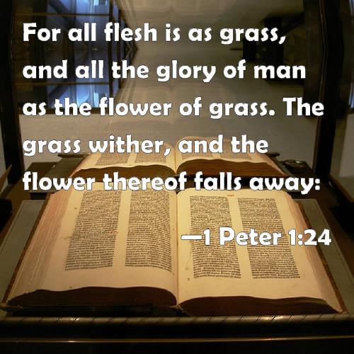 1 Peter 1_24