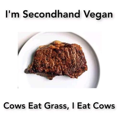FB_IMG_1704064024785