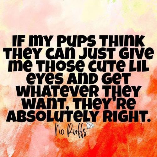 570e76bbca9525558a1c8895c4fa8c25