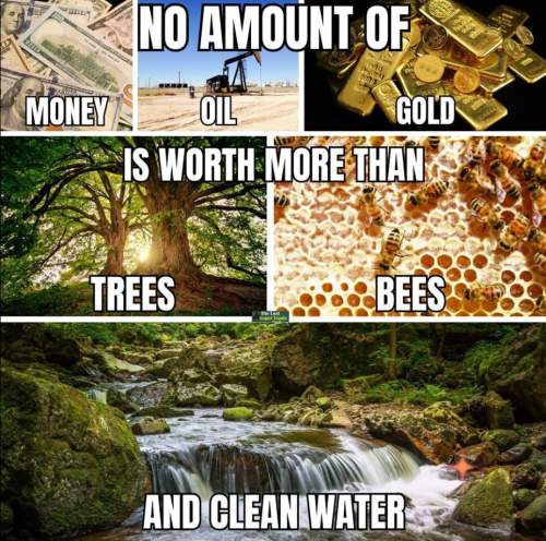 Screenshot 2024-01-18 144631