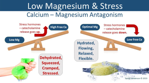 Low Magnesium vs Excess Calcium