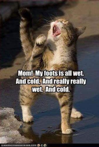 314ef8bd3fc37493fdce9fbd32f3ce41