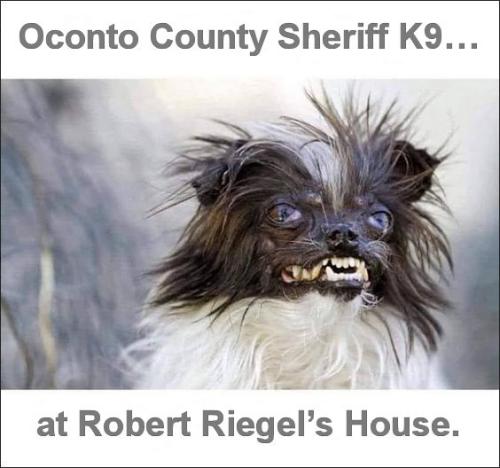 oconto county k9