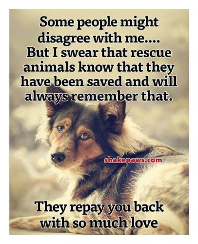 cad0c2826494b3a950ebfe0c056a4fe0