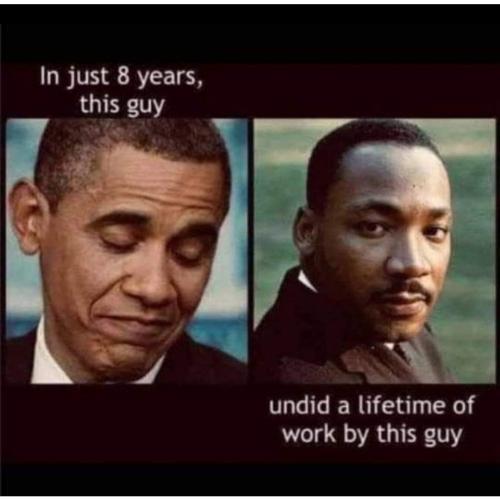 InstaFit_17049000186715481480594760444921