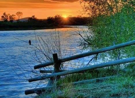 f6fd8f15-1f85-41b5-aaa0-cf6d16a570c1