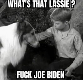 fuck joe biden106