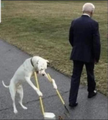 Screenshot_20240106-174635_MeWe