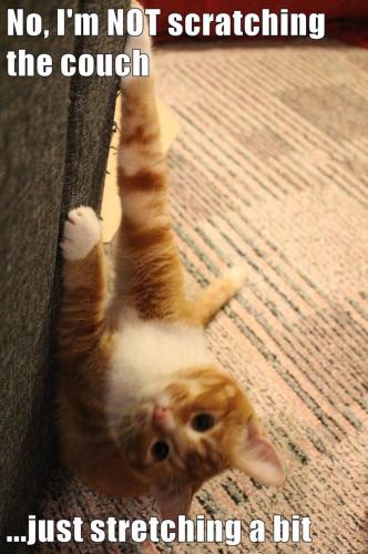 3c56c7028f126061e59766754645c3fc