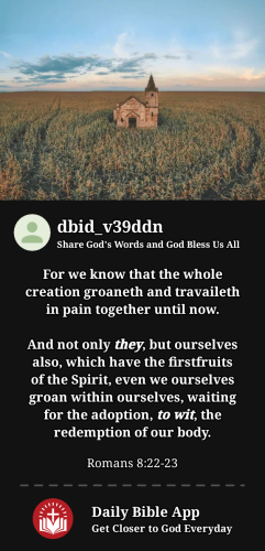 2024-01-181705560159022