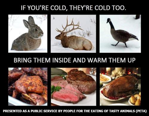 PETA Public Service Announcement960px