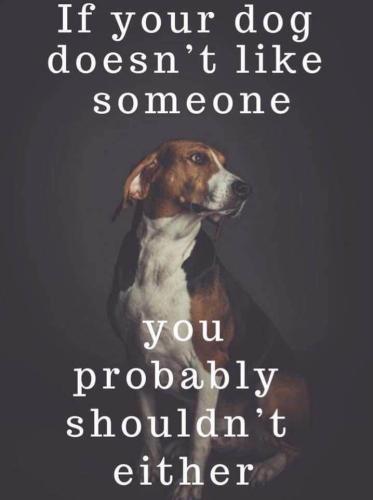 cff447f565a3628a2b85507a93727cf2