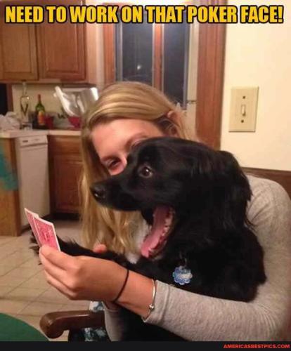 a54e7ac8007cc013f15ef7b2941ac8160d367c0cef801f264a244a262f2ea5e2_1