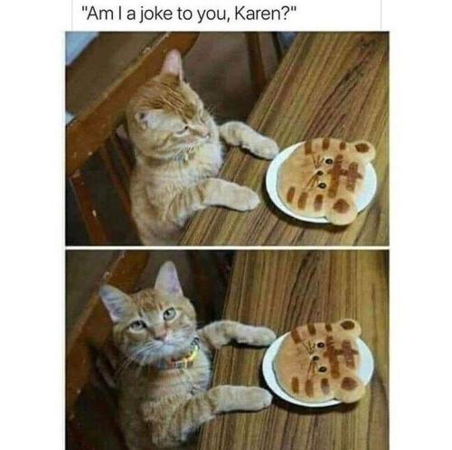 am-joke-karen
