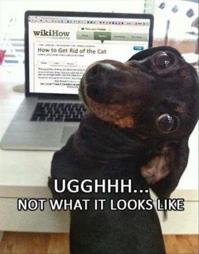 6716f312d8314e3e27bd1626e9df2a01