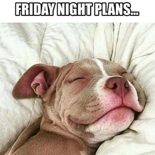 1c31e2cba1e1b9a3ad295a6e9b3014ae