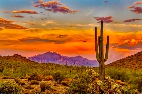 CAC1523E-4A48-4895-A97E-CD02FBBAB3EB