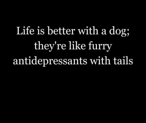 sngine_0c0c7bd2bee958dc7e003f8b92c6d9f0