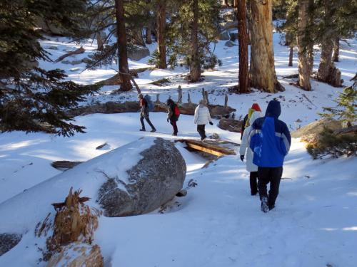 Beautiful Winter Snow Hike Family