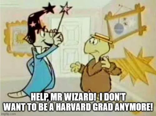 FB_IMG_1704596271771