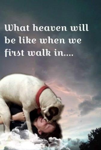 f5c5102042af7851d5c04e89d45e19a4