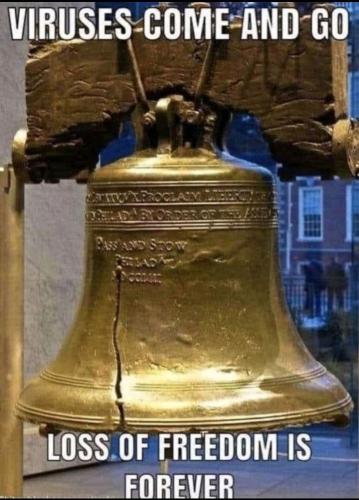 Screenshot_20221201-164511_Photos