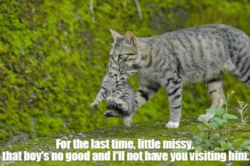 a26a5f8a165074f73bbbc9a81312a876