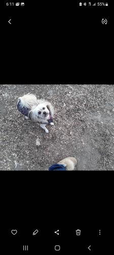 Screenshot_20240125-061117_Gallery