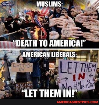 f51b963afbfd1f3cfdbf01ead8fefa0403844821d395e8048c3da78b6ffc84ec_1