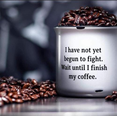 422254162_357799880537553_5982093508342488538_n