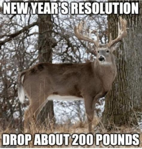 FB_IMG_1704230583192