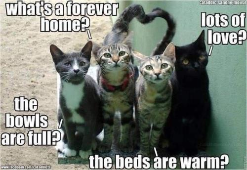 5fb44cee926567137c18dde4d4d479a3