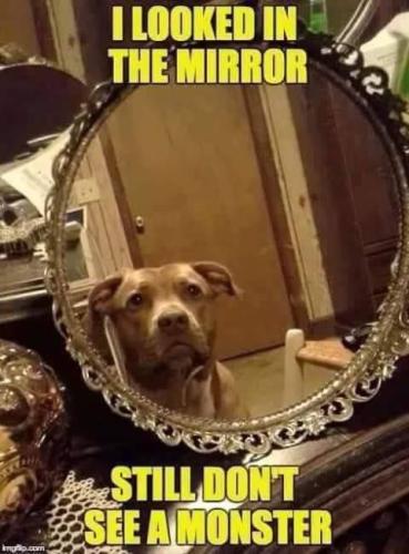 18ac4cacdd9c4ffc499dc37bdece4ce0