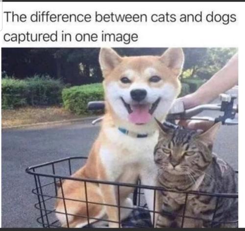 Screenshot_20240106-174327_MeWe