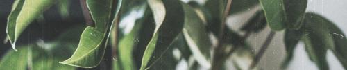 odb20240121