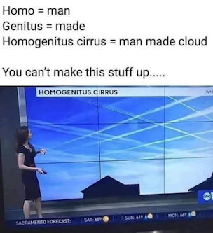 homogenitus cirrus clouds00