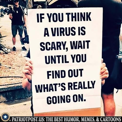 01HMVF67CTHWC1EJE1CEASQ98X