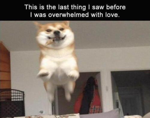 4bec1a749d3a00f575eac599cf62458b