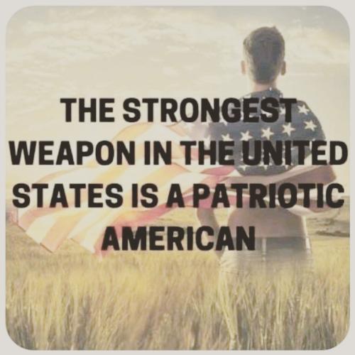 IMG_20240113_045403_033