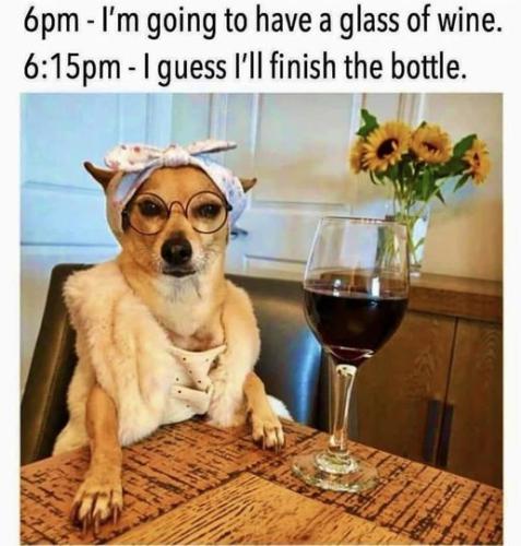 420179722_802339651909890_4511717655976997206_n