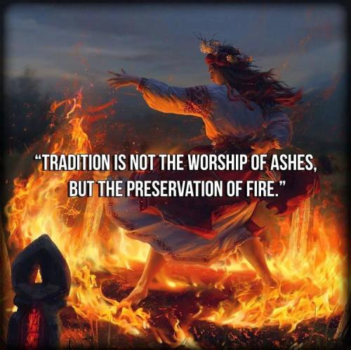 IMG_20240112_045850_954